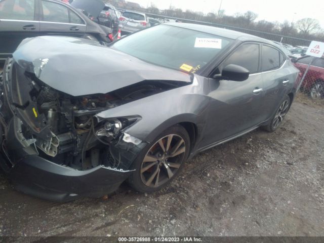 1N4AA6AP8HC440869 Nissan MAXIMA S