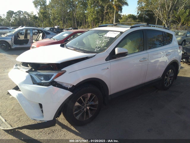 2016 Toyota RAV4, VIN: JTMRJREV8GD057675