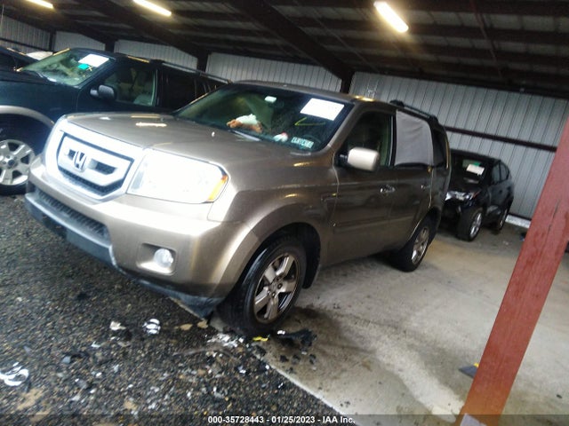 2009 HONDA PILOT EX-L VIN: 5FNYF48559B053025
