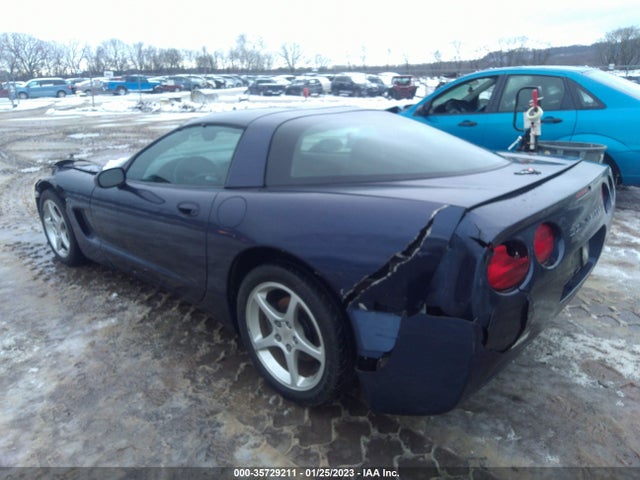 2000 CHEVROLET CORVETTE VIN: 1G1YY22G7Y5120872