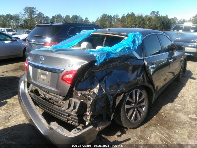 Nissan Altima 2.5 Sv 2017 1N4AL3AP8HC190381 Image 7