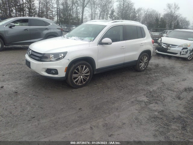 WVGAV3AX2DW594950 Volkswagen Tiguan
