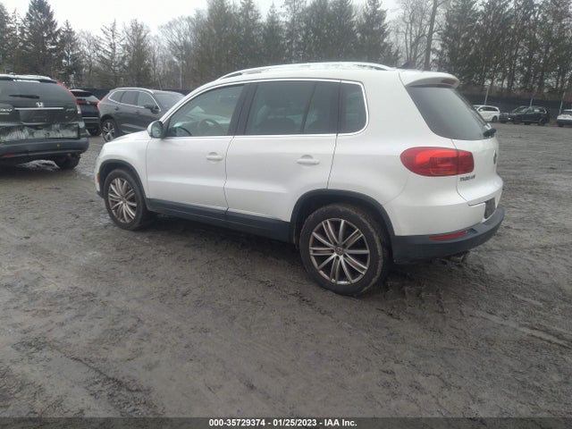 WVGAV3AX2DW594950 Volkswagen Tiguan