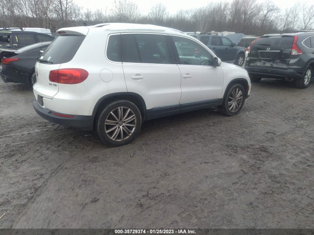 WVGAV3AX2DW594950 Volkswagen Tiguan