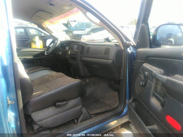 2002 DODGE RAM 1500 VIN: 1D7HA16K12J256973