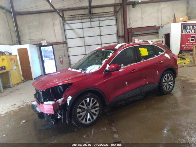 2020 Ford Escape, VIN: 1FMCU0DZ9LUB58503