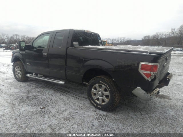 2013 FORD F-150 XL/XLT/FX4/LARIAT VIN: 1FTFX1ET6DFC96207