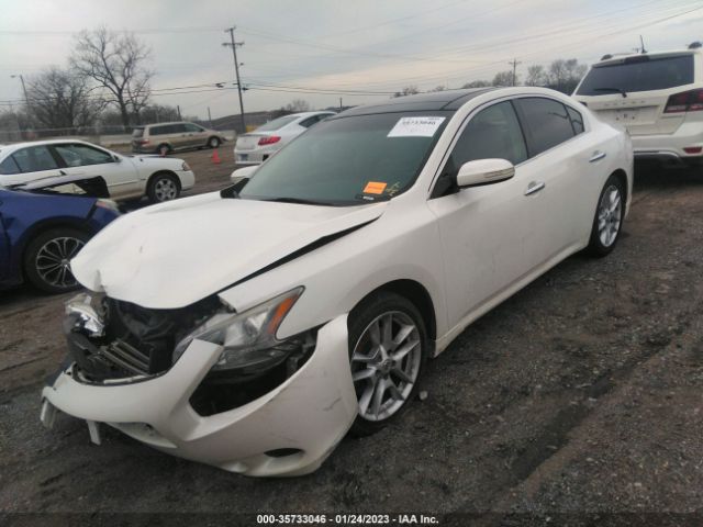 1N4AA51E69C829567 Nissan Maxima 3.5 Sv W/premium Pkg