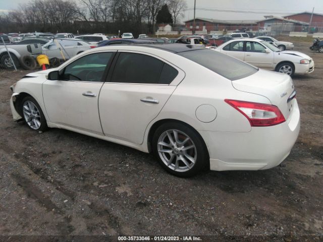 1N4AA51E69C829567 Nissan Maxima 3.5 Sv W/premium Pkg