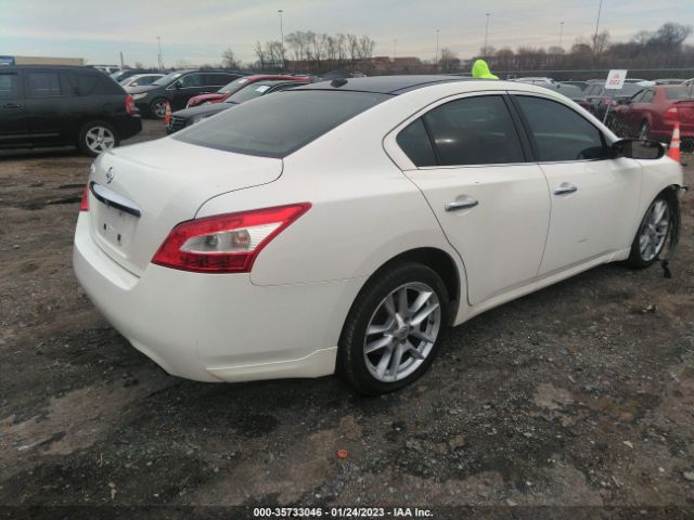 1N4AA51E69C829567 Nissan Maxima 3.5 Sv W/premium Pkg