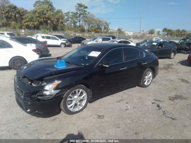 1N4AA5AP5EC911673 Nissan Maxima 3.5 Sv W/premium Pkg