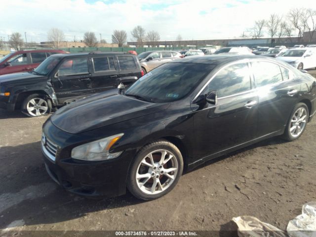 1N4AA5AP5CC800554 Nissan Maxima 3.5 Sv W/premium Pkg