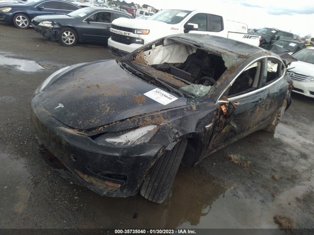 Tesla Model 3 Range 2019 5YJ3E1EA7KF508198 Image 2