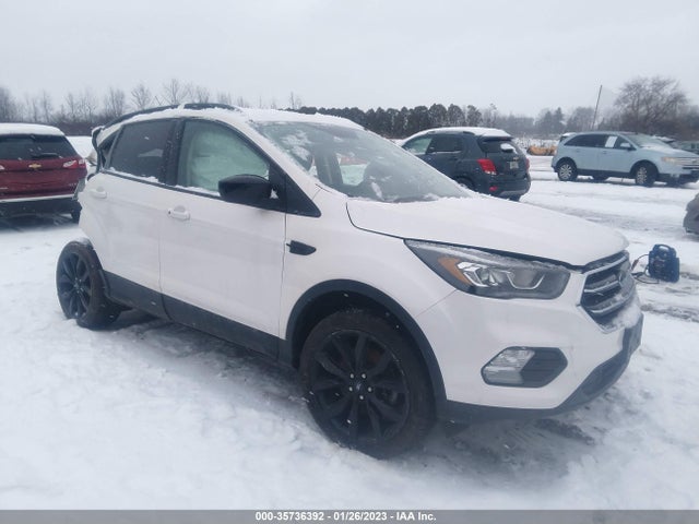 2019 Ford Escape, VIN: 1FMCU9GD2KUB49564