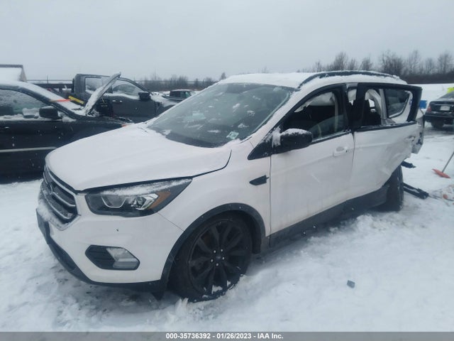 2019 Ford Escape, VIN: 1FMCU9GD2KUB49564