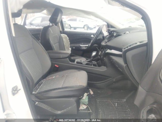 2019 Ford Escape, VIN: 1FMCU9GD2KUB49564