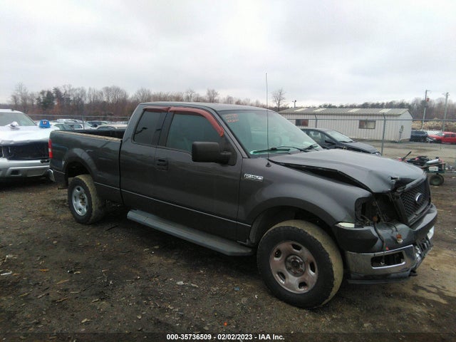 2004 FORD F-150 XLT/FX4/LARIAT/XL VIN: 1FTPX14504NB38197