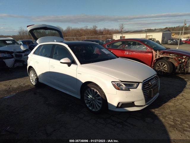 2017 Audi A3, VIN: WAUSPBFF4HA103369