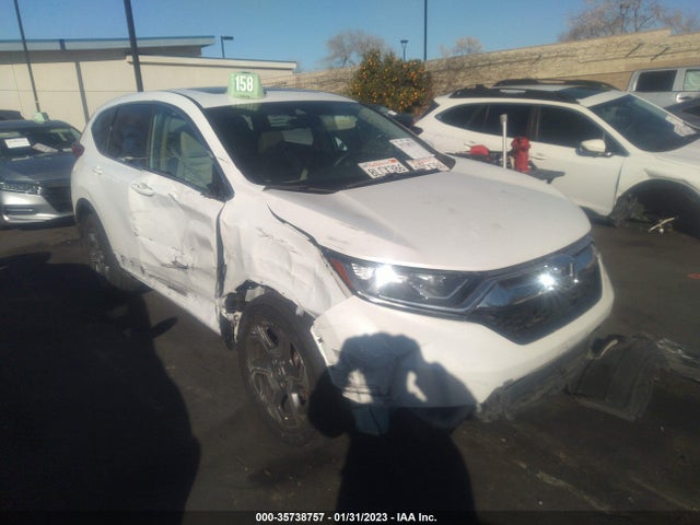 2019 5J6RW1H54KA027964 main image