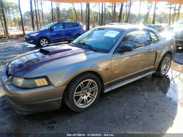 2002 FORD MUSTANG GT VIN: 1FAFP42X52F237872