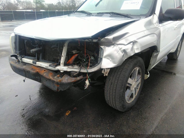 Chevrolet Trailblazer Lt 2007 1GNDS13S872118687 Image 8