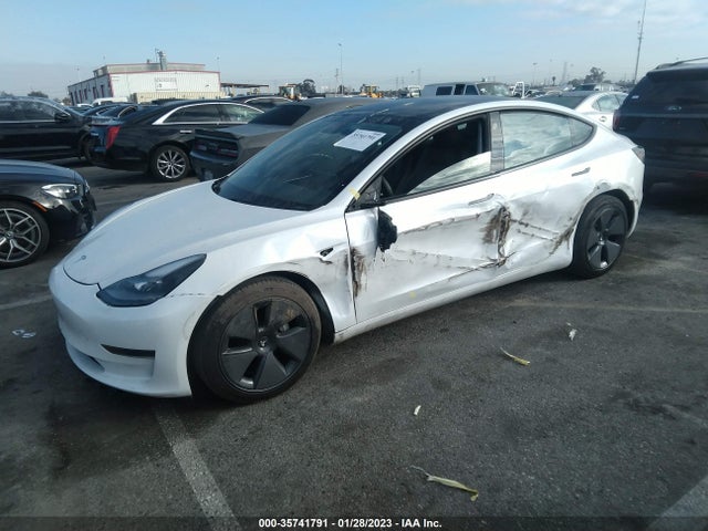 Tesla Model 3 Standard Range Plus 2021 5YJ3E1EA6MF074942 Image 2
