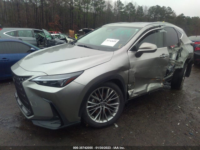 2022 Lexus NX, VIN: JTJGKCEZ6N5001968