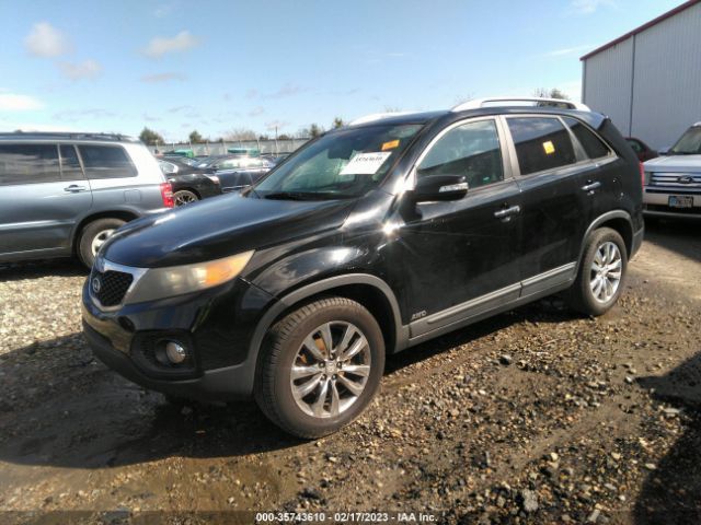 5XYKUDA21BG044607 KIA SORENTO EX