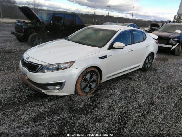 KNAGM4AD7D5052257 KIA Optima Hybrid Lx