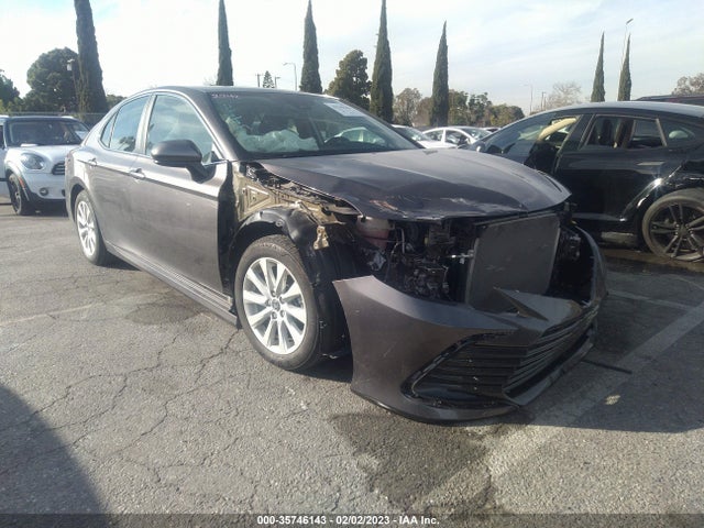 2019 Toyota Camry, VIN: 4T1B11HK9KU178420