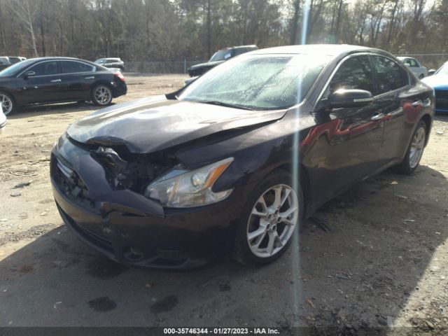 1N4AA5APXEC449613 Nissan Maxima 3.5 Sv