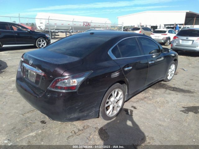 1N4AA5APXEC449613 Nissan Maxima 3.5 Sv