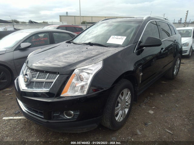 2011 CADILLAC SRX LUXURY COLLECTION VIN: 3GYFNAEY0BS661906