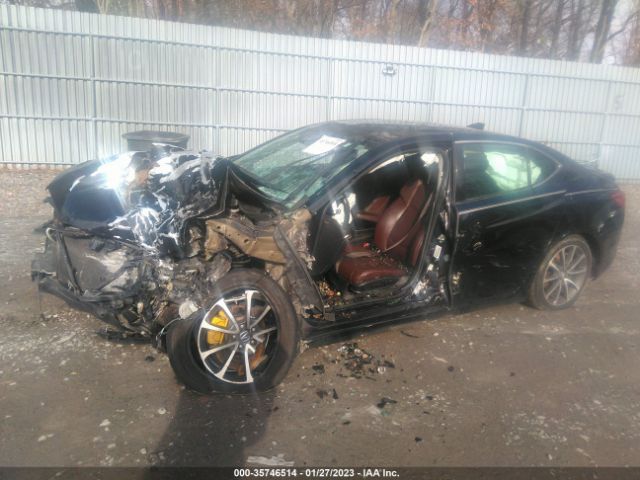 19UUB2F57FA003749 Acura Tlx V6 Tech