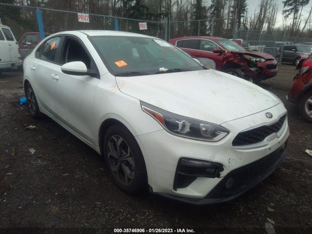 2019 Kia Forte, VIN: 3KPF24AD6KE108162