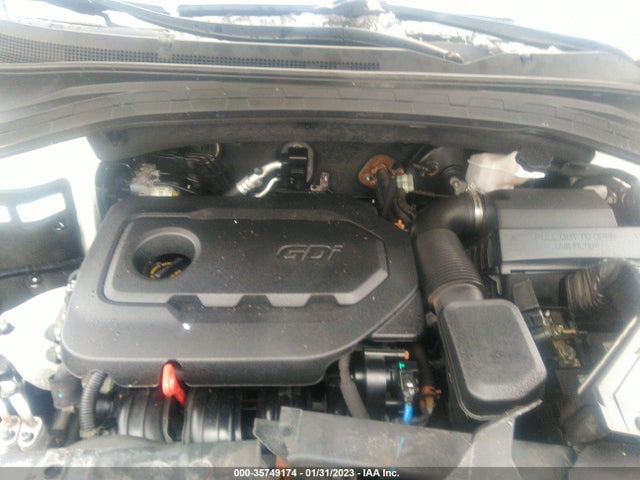 2019 Hyundai Santa Fe, VIN: 5NMS2CAD7KH124176