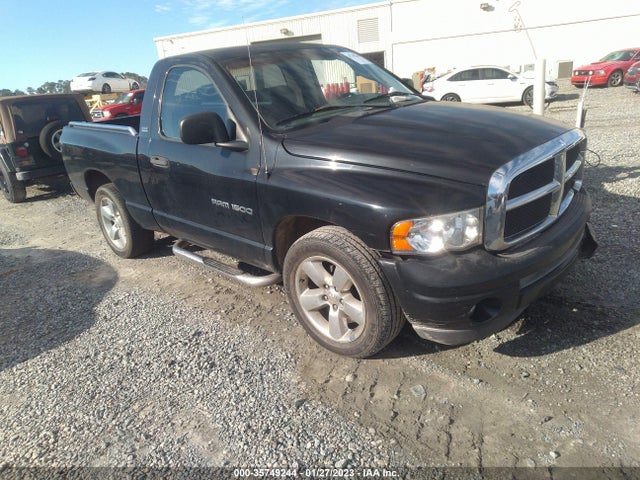 Dodge RAM 1500 2002 1D7HA16N22J204715 main image