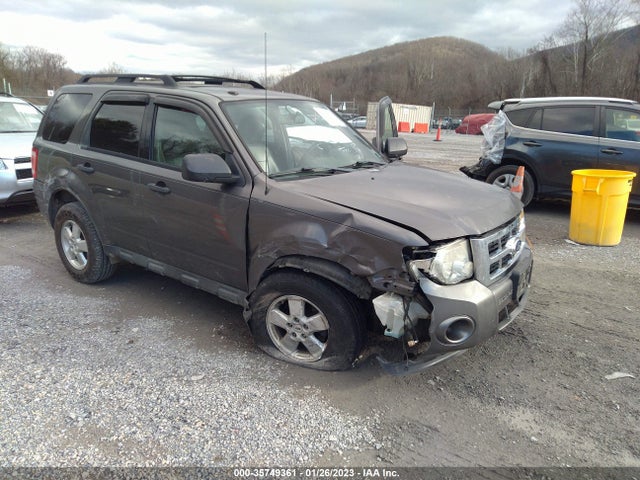2011 FORD ESCAPE XLT VIN: 1FMCU9D72BKB37134