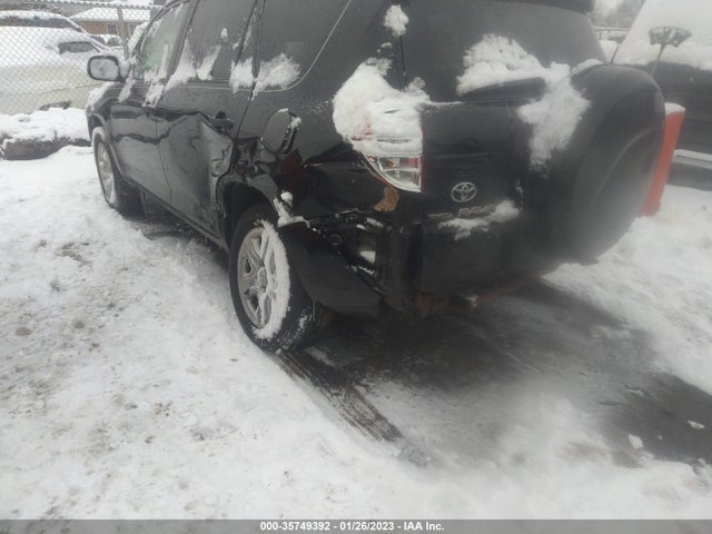 2006 TOYOTA RAV4 BASE VIN: JTMZD33V666012325