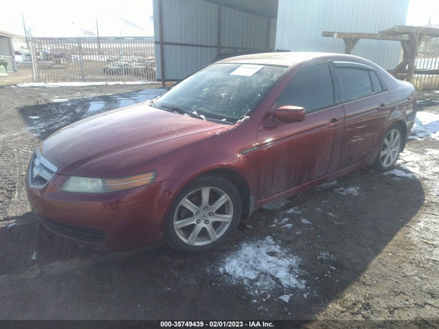 Acura TL 2006 19UUA66246A065786 Image 2