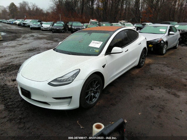 Tesla Model 3 Range Battery 2018 5YJ3E1EA4JF023208 Image 2