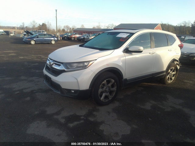 2019 Honda CR-V, VIN: 2HKRW2H58KH656549