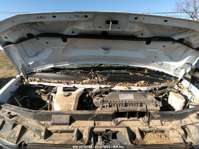 2018 Chevrolet Express, VIN: 1GCWGAFP1J1181749