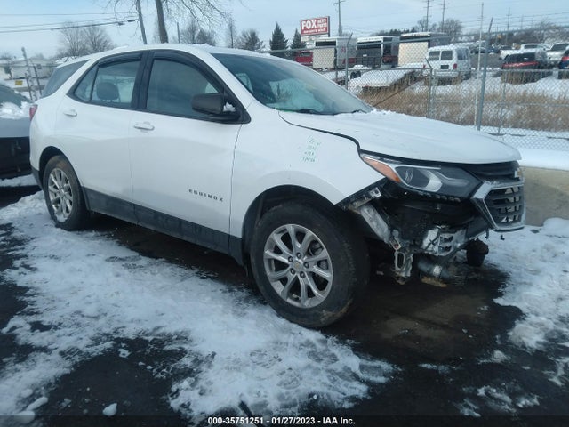 Chevrolet EQUINOX LS 2019 2GNAXHEV0K6264467 Image 1