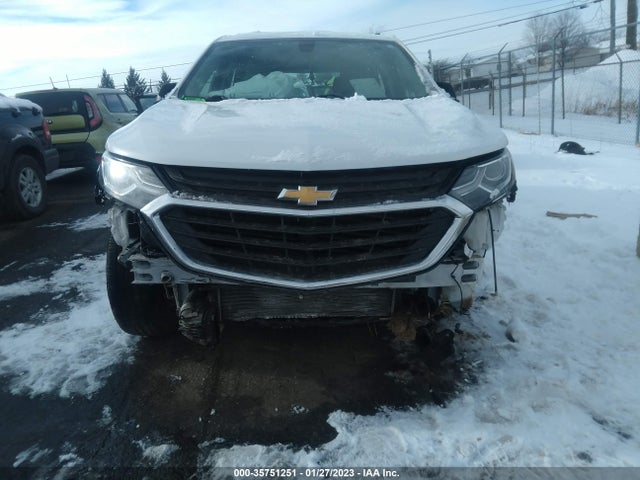Chevrolet EQUINOX LS 2019 2GNAXHEV0K6264467 Image 7