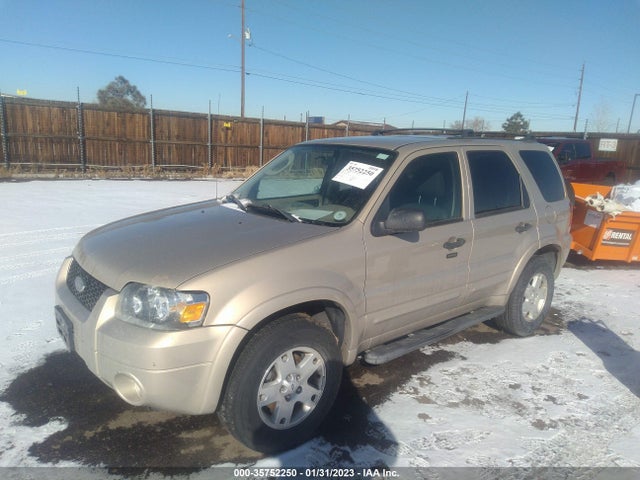 2007 FORD ESCAPE XLT VIN: 1FMCU93117KB36173