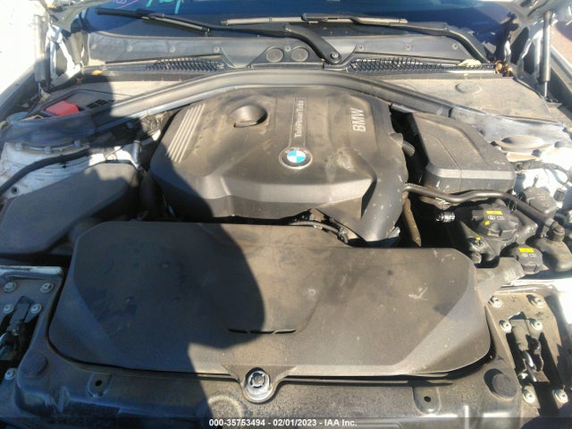 2017 BMW 2 Series, VIN: WBA2F9C38HV664799