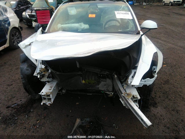 Tesla Model 3 Standard Range Plus 2021 5YJ3E1EA4MF000709 Image 7