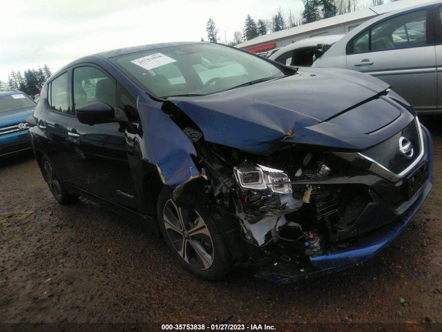 2019 Nissan Leaf, VIN: 1N4BZ1CP0KC316289
