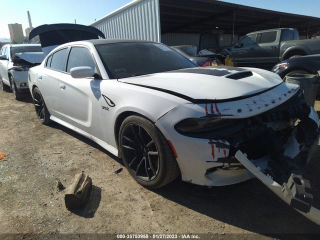 Dodge Charger Daytona 392 2018 2C3CDXGJ5JH284509 головне зображення